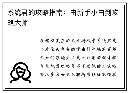 系统君的攻略指南：由新手小白到攻略大师